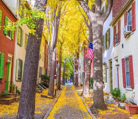 Sunday Video: Narrowing Streets in North America