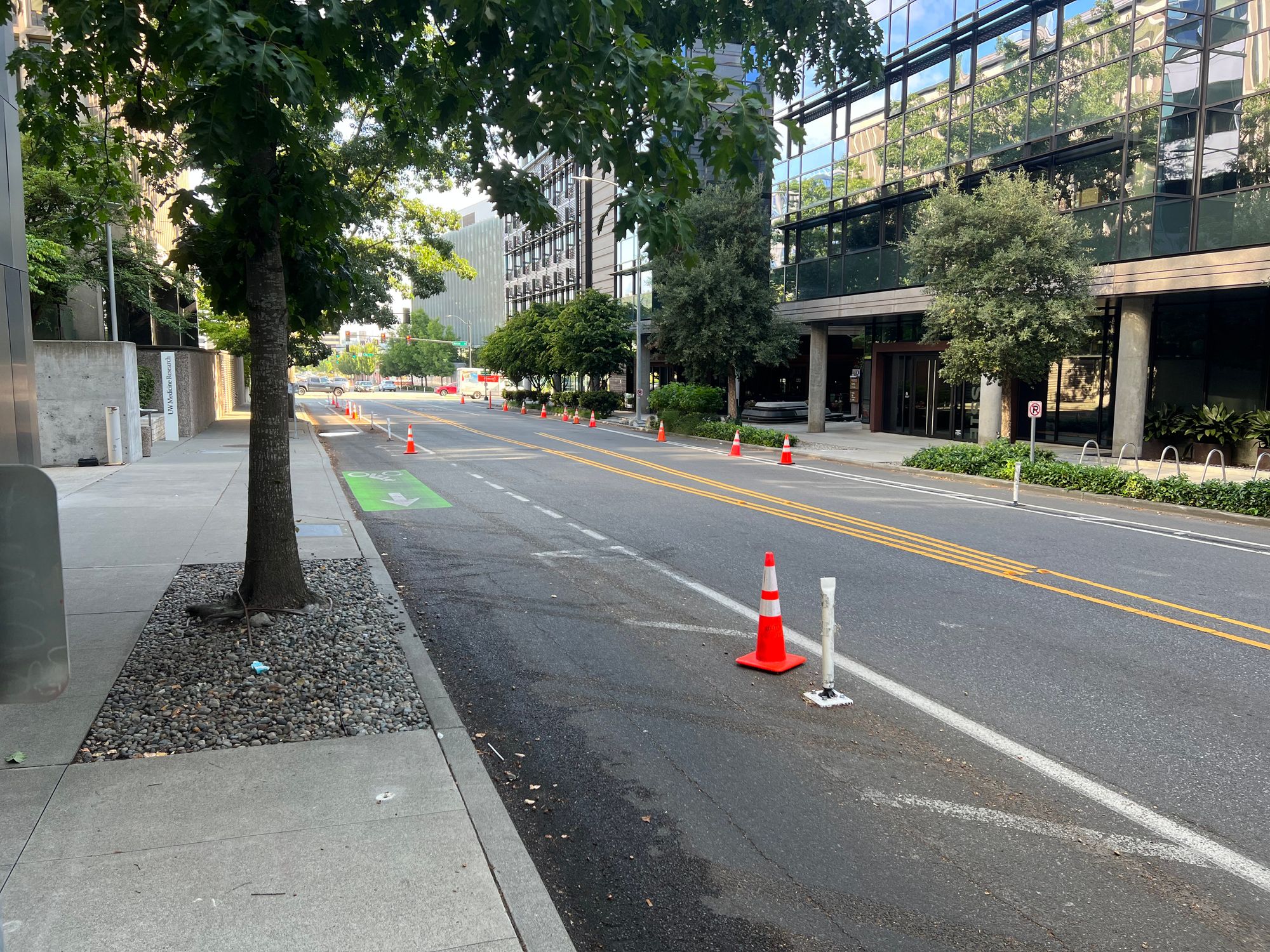 A bike lane on 9th Ave N just south of Mercer St protected by traffic cones