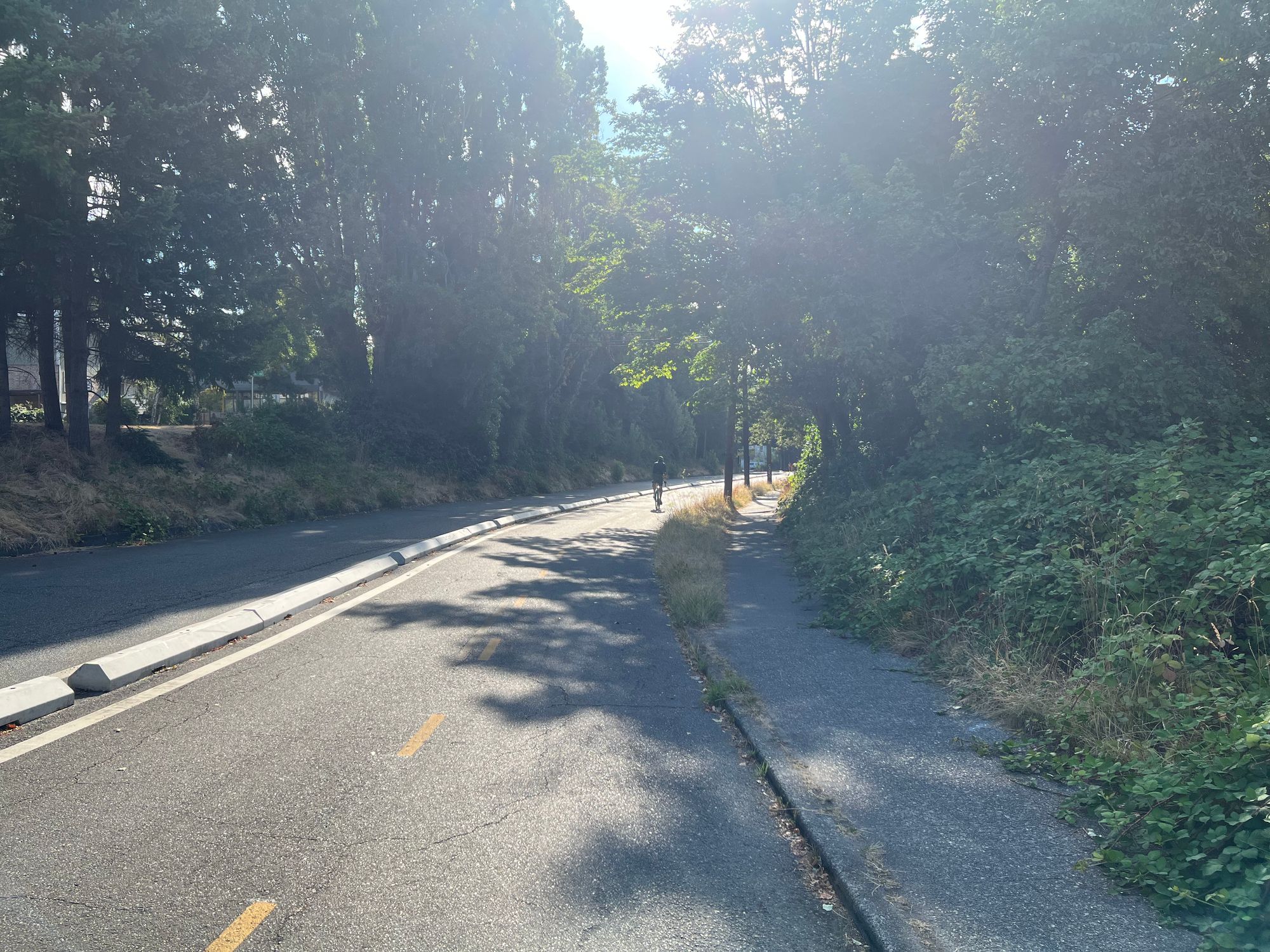 A protected bike lane at NE 40th St