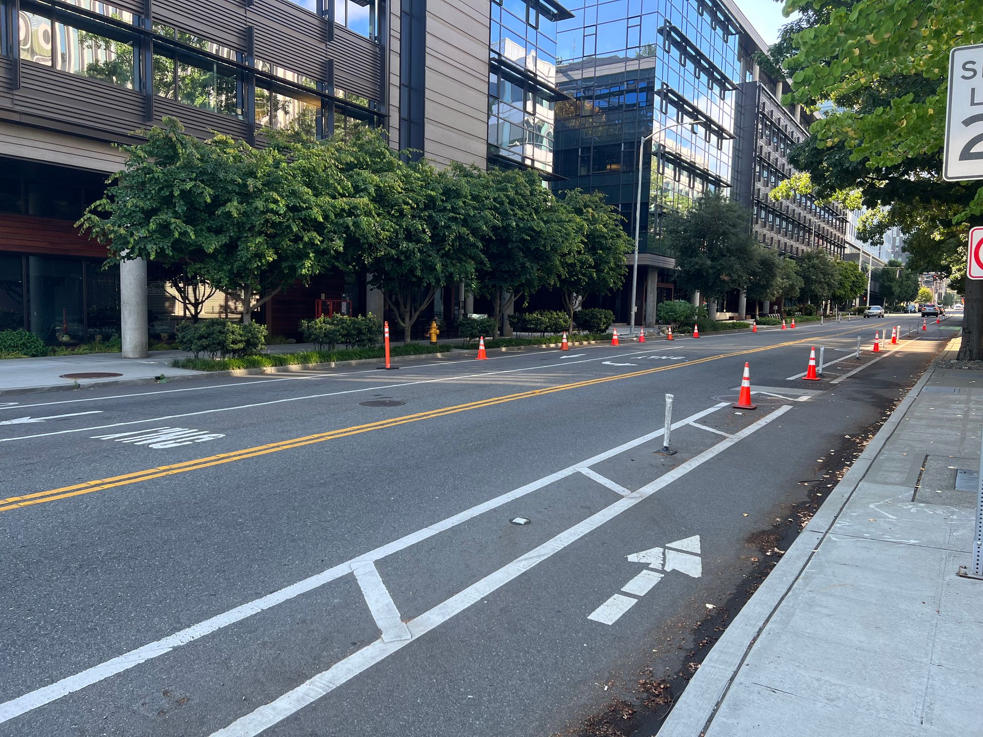 A bike lane on 9th Ave N just south of Mercer St protected by traffic cones