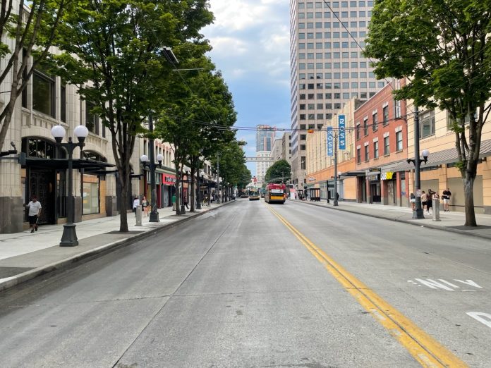 Tree-lined street view of 3rd Ave downtown Seattle.