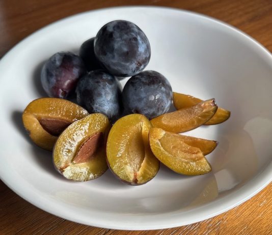 The Grandeur of Seattle’s Tiny Plums Purple skin, yellow fruit plums in a white bowl.