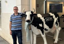 Meet Ray Delahanty, the Guy Behind CityNerd Ray poses with a life-size cow sculpture while traveling in Spain. Ray wears glasses and has sandy-colored hair.