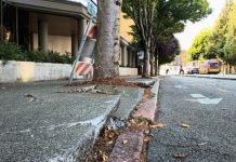 Morales Proposes Adding Sidewalks to Seattle’s Complete Streets Ordinance Two people walking a dog on a new sidewalk.