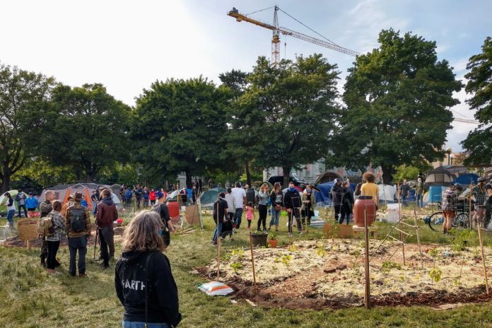 Around 30 people milled about the a garden with early plantings.