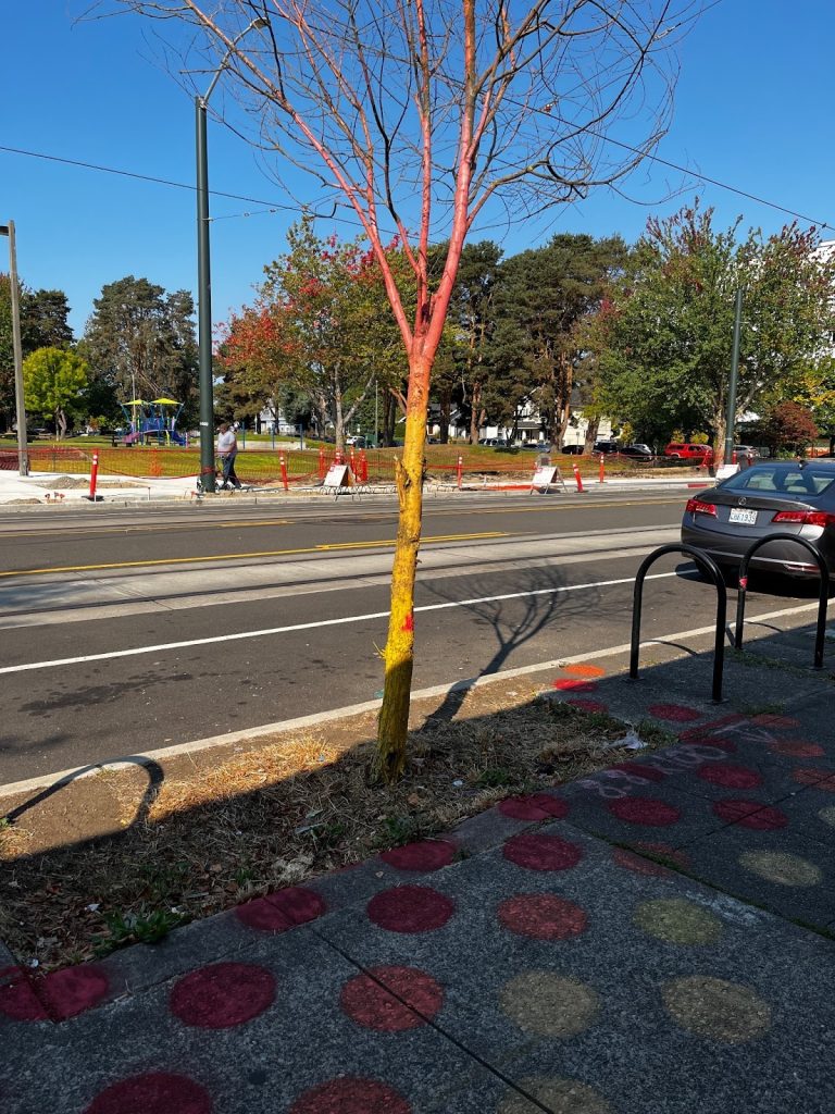 A dead street tree with its trunk painted yellow lower and red upper and colored dots on the sidewalk represent a place where no cooling is happening because the tree is dead.