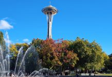 Seattle Center Faces a Turning Point with Former Waterfront Director Taking the Helm Trees in fall colors with the International Fountain and the Space Needle.