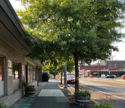 A Tree Grows in Tacoma, But Will It Be There in 10 Years? Green street trees shade Tacoma sidewalks. Colored dots on the sidewalk represent the values of the cooling effect.