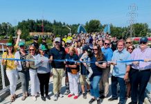 Op-Ed: Amy Falcone Is the Councilmember Kirkland Needs