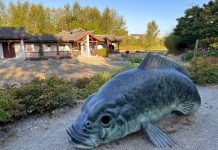 The Urbanist 2023 Year In Pictures