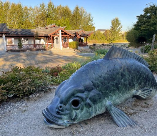 The Urbanist 2023 Year In Pictures