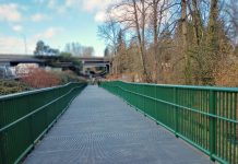 Northup Connector Opens, Offering Direct Connection Between Eastrail and 520 Trail