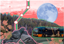 Three Transit-Friendly Winter Dates to Ride Out Seasonal Depression