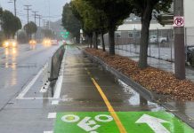 Completed Duwamish Trail Connection Led to Doubling of Walking and Biking