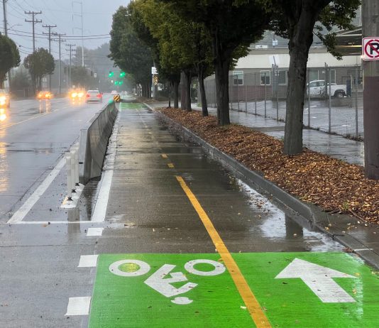 Completed Duwamish Trail Connection Led to Doubling of Walking and Biking