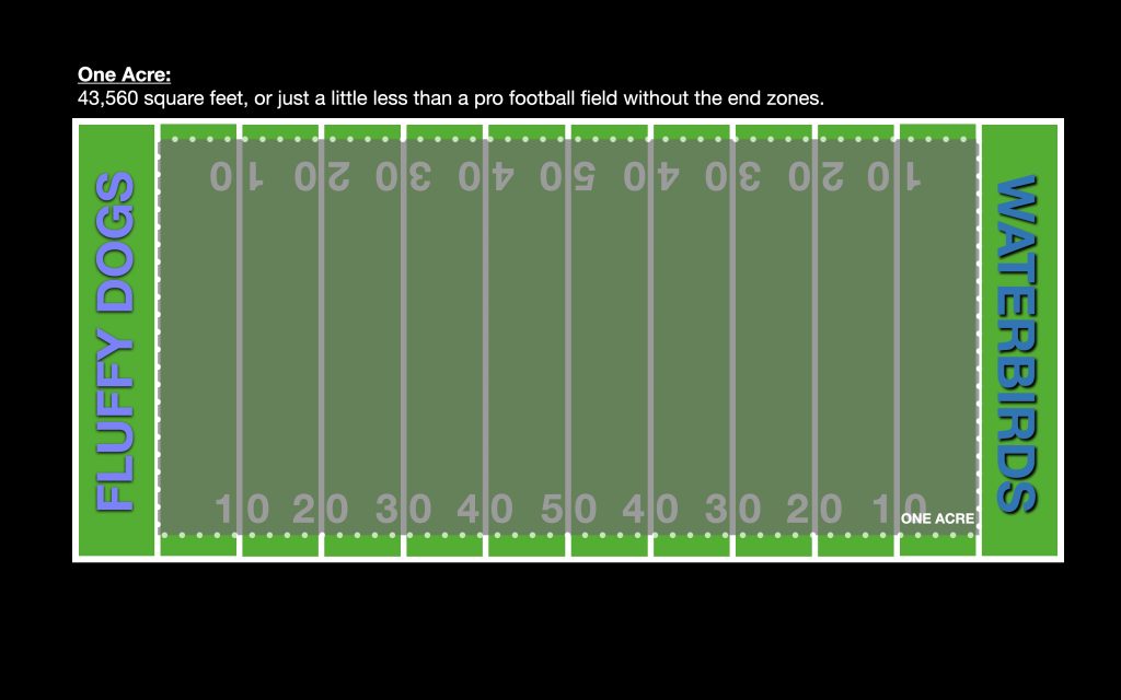 A shaded acre laid out and mostly covering a green rectangle highlighted with yard lines.