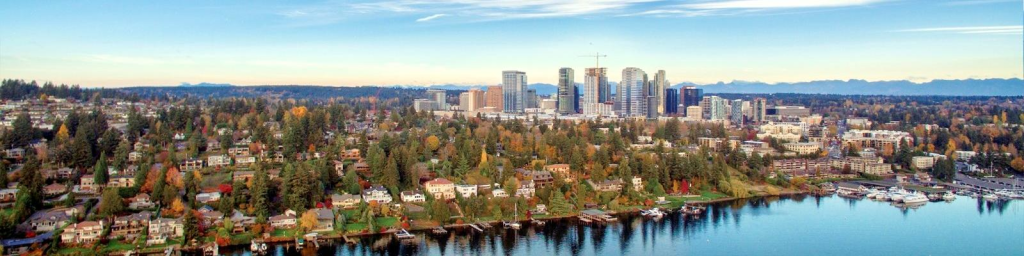 Aerial view of the city of Bellevue