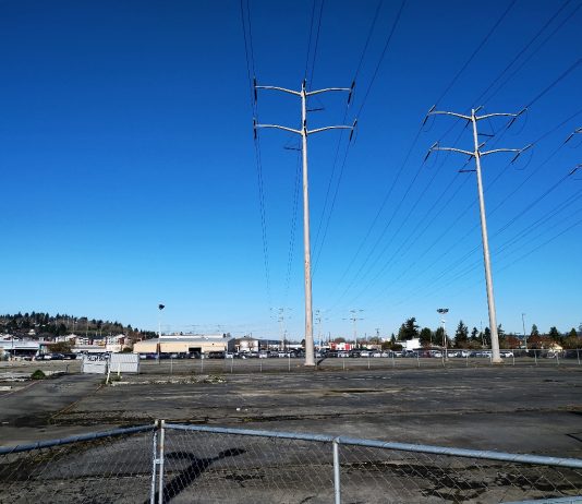 Renton Seeks to Create a New Urban Neighborhood Around Planned Transit