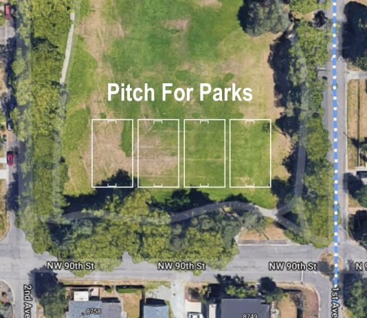 Op-Ed: Parks Need More Mini Soccer Pitches, Fewer Empty Lawns