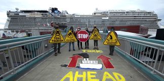 Op-Ed: Seattle Advocates Rally Against Polluting Cruise Ship Industry as Alaska Season Launches