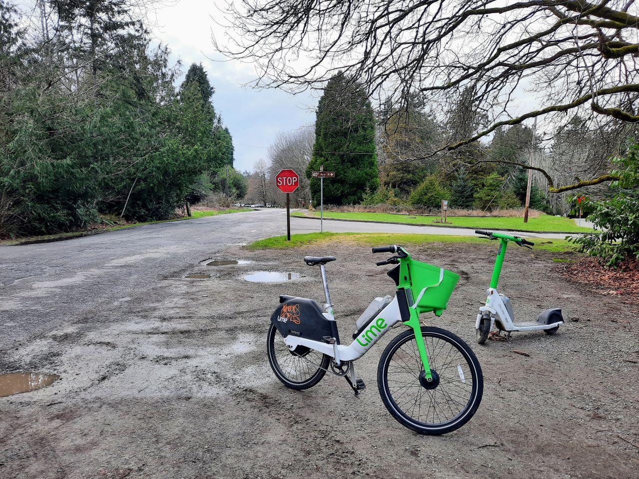 Lime access deals