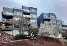 Seattle Releases Comprehensive Plan Less Ambitious Than Bellevue Twin four-story apartments with cherry trees in front.