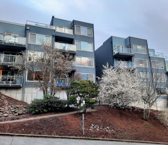 Seattle Releases Comprehensive Plan Less Ambitious Than Bellevue Twin four-story apartments with cherry trees in front.