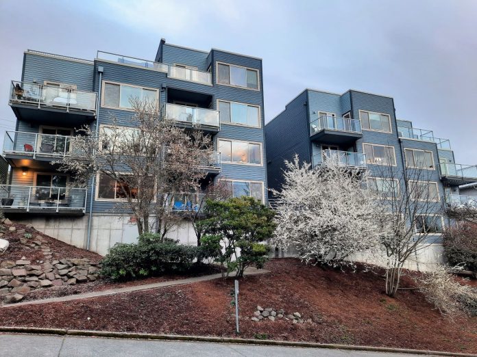Twin four-story apartments with cherry trees in front.