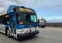 Spring Service Change Brings Shifts in Transit Service Across Puget Sound