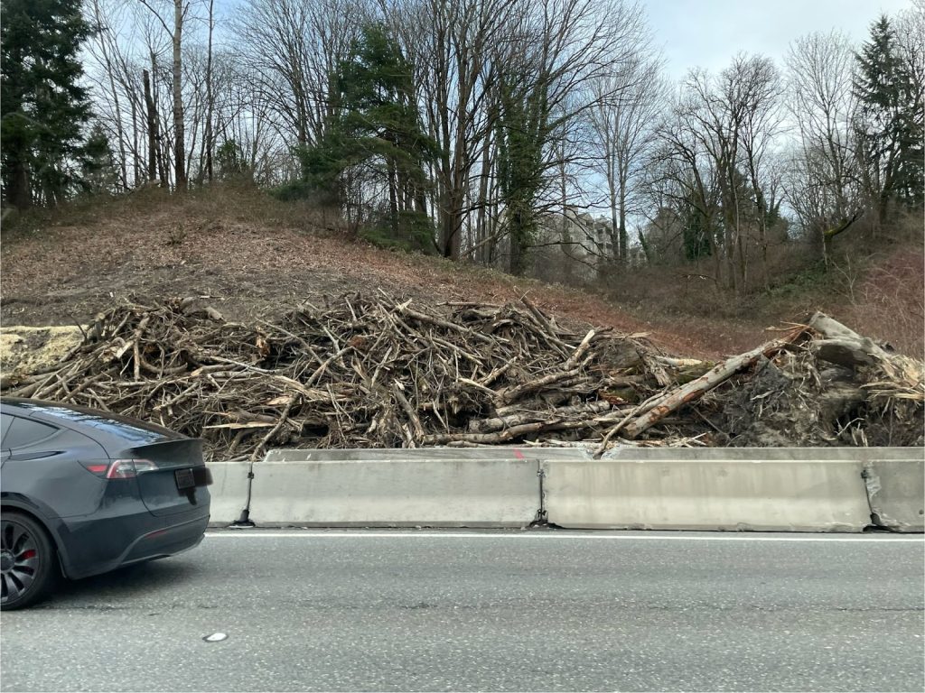 A pile of cut down trees along a roadside alongside a green belt.