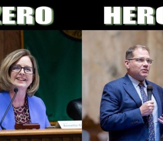 Heroes and Zeroes of the 2024 Washington State Legislature