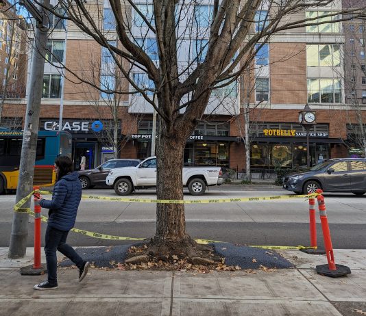 Seattle Levy Proposal Keeps Modest Pace of Building New Sidewalks