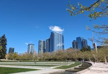 East Link TOD: Housing Growth Picks Up in Downtown Bellevue Ahead of Light Rail A lawn with concrete steps ringed by trees with the shiny new towers of Downtown Bellevue rising above in the background.