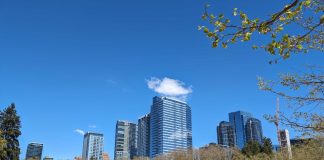 A lawn with concrete steps ringed by trees with the shiny new towers of Downtown Bellevue rising above in the background.