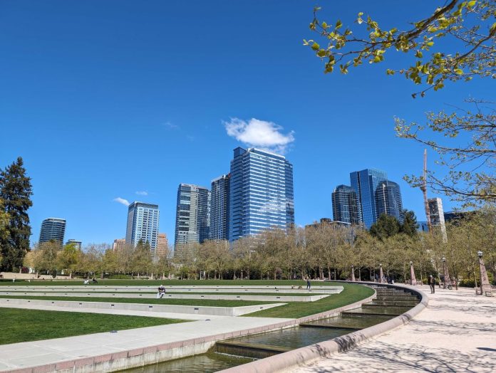 A lawn with concrete steps ringed by trees with the shiny new towers of Downtown Bellevue rising above in the background.