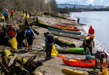 Community Development Counters Eco-Gentrification from Duwamish Valley Cleanup Kayaks beached among the driftwood along the Duwamish River