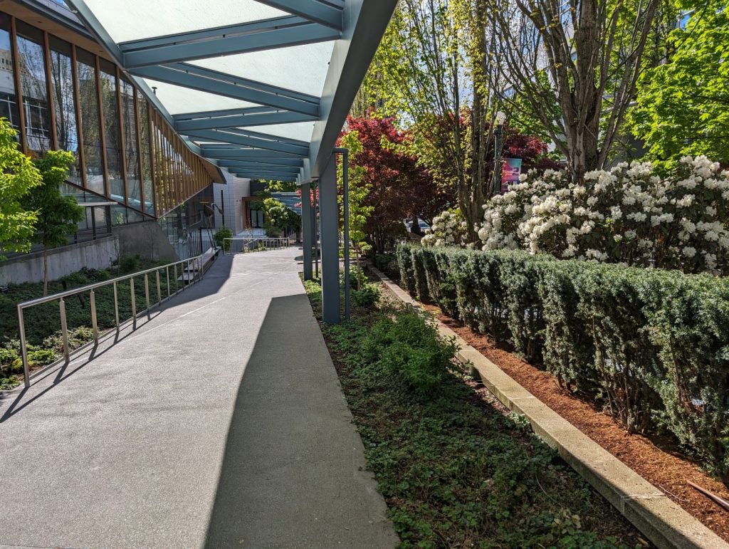 Greenery and Glass flank the pathway