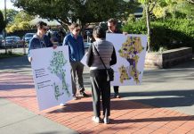 Urbanists Rally to Sway Seattle Growth Plan