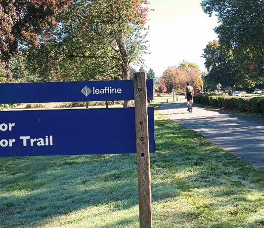 King County Will Allow E-bikes on Regional Trails, May Expand Hours