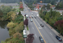 Shoreline Sticks with 175th Street Revamp Despite Pushback Over Trees