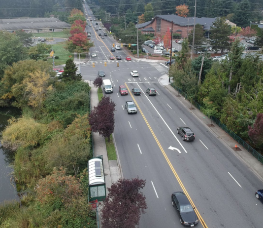 Shoreline Sticks with 175th Street Revamp Despite Pushback Over Trees