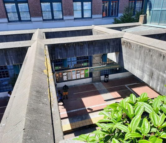SLU Decision Points to Uphill Battle for Chinatown Station Advocates A view of the recessed Chinatown station platform from the surface, looking down through the concrete lattices overhead.