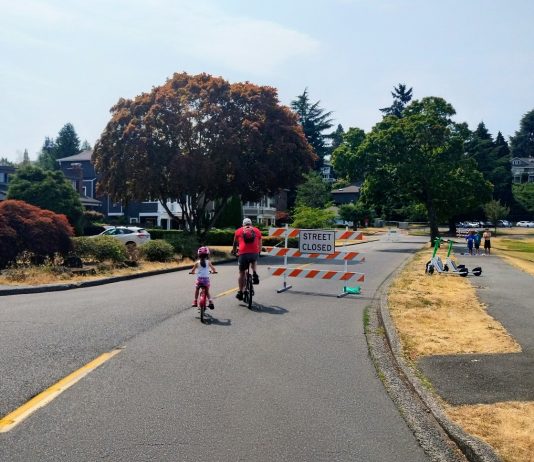Spot Fixes to Improve Safety on Lake Washington Boulevard Move Forward