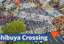 Sunday Video: Why Is Shibuya So Great?