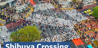 Sunday Video: Why Is Shibuya So Great?