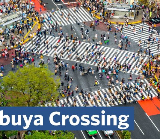 Sunday Video: Why Is Shibuya So Great?