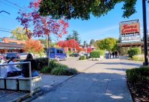 Sleepy Bainbridge Island Decides How To Grow Up