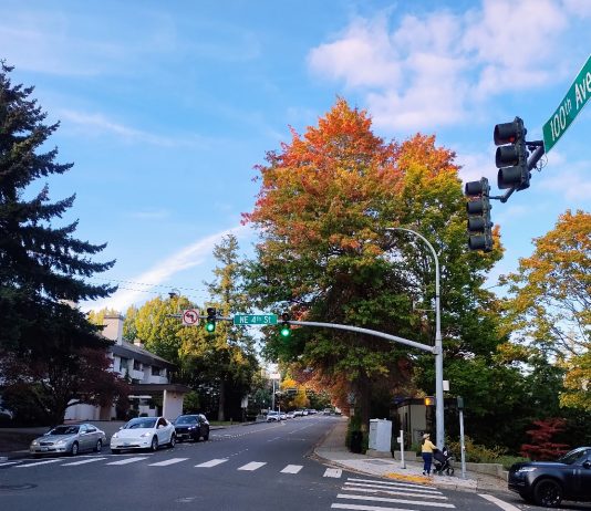 Bellevue Greenlights Downtown Bike Detour Proposed by Kemper Development