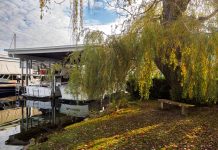 Seattle Street Ends: Portage Bay A small marina provides the backdrop.