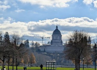 Washington Legislature Toys with Age Verification for Big Tech The domed Olympia Capitol Building stands in the distance with a bus stop with a passenger waiting in the foreground. A dogwalker also mosey on the lawn.